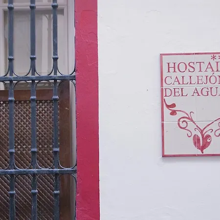 Guest house Callejon Del Agua 2*