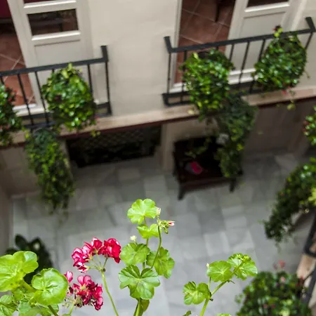 Pensión Callejon Del Agua Sevilla
