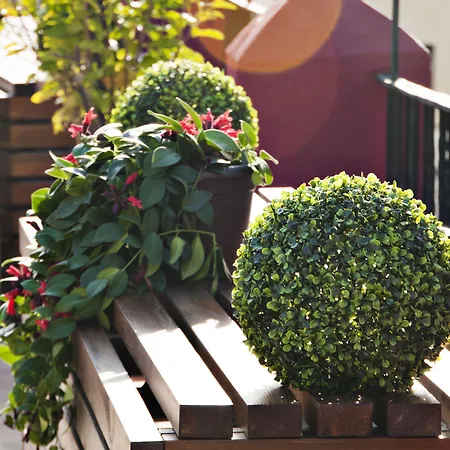 Callejon Del Agua Pensjonat 4*